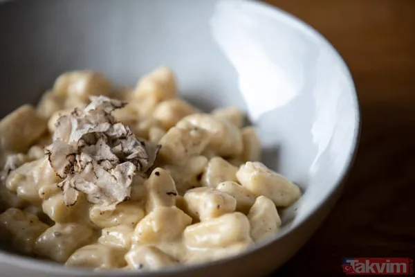 Köpekler buluyor! KİLOSU 72 BİN TL! Siz de toplayıp para kazanabilirsiniz! Türkiye'de 225 kilo bulunuyor! - 5