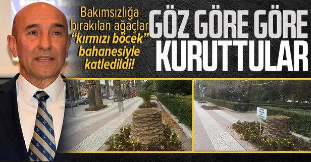 CHP’li İzmir Belediyesi’nin bakımsızlığa terk ettikleri ağaçları kırmızı böcek bahanesiyle katletti! 3 yılda 1900 ağaç