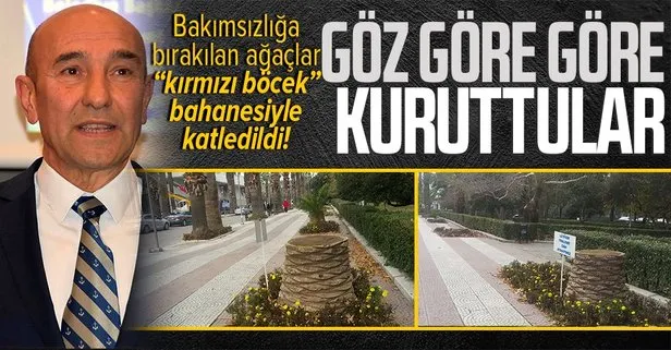 Göz göre göre kuruttular
