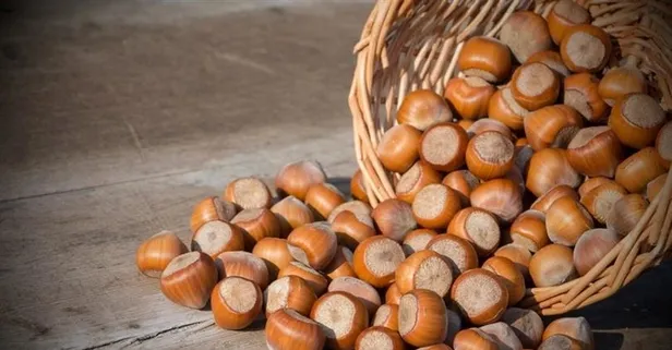 Fındık fiyatları ne kadar oldu? 5 Nisan Pazartesi Ordu, Giresun, Ünye, Zonguldak fındık borsalarında fındık kaç lira?