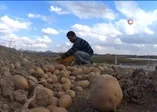 Patatesin Kilo fiyatı 1,5 TL'ye kadar düşecek