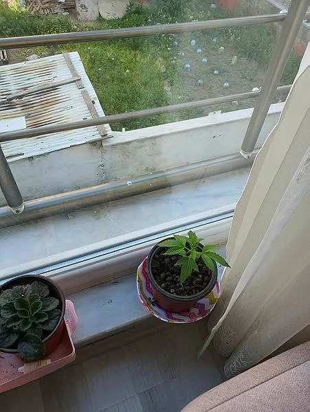 canakkale-merkezli-3-ilde-uyusturucu-operasyonu-40-gozalti-1652796602291.jpeg Çanakkale merkezli 3 ilde uyuşturucu operasyonu: 40 gözaltı-2