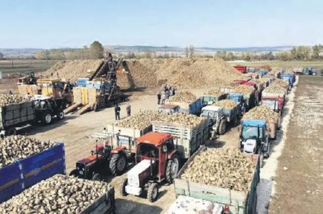 Stokçuların yalanı elinde patladı: Şeker depoları ağzına kadar dolu