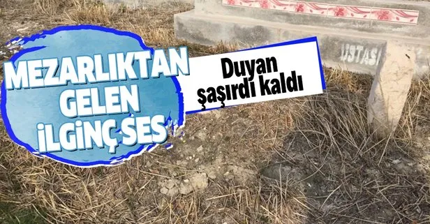 Mezarlıktan gelen ilginç ses