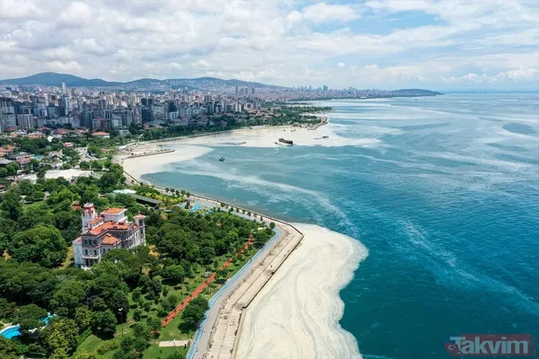 Caddebostan Sahili'nde müsilaj yoğunluğu arttı! Tabloya benzer görüntüler oluştu - 14