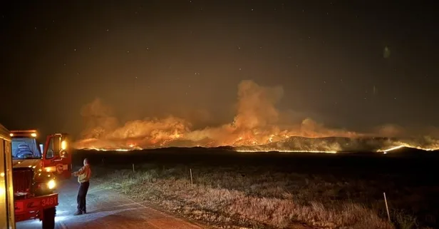 ABD'de orman yangını: 52 bin dönümden fazla alan kül oldu