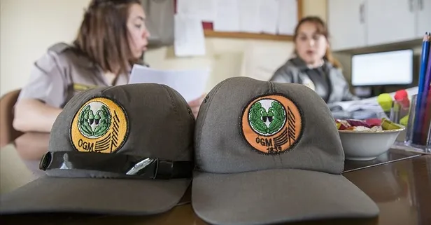 Orman Genel Müdürlüğü tarafından 390 işçi alımı yapılacak! OGM işçi alımı başvuru şartları nelerdir?