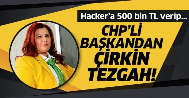 CHP’li başkan Özlem Çerçioğlu trol çıktı