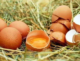 Yumurtayla kemikler güçlü