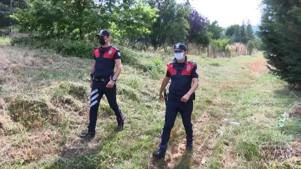 Pendik'te ormanlık alanın yakınlarındaki arazide 17 köpek ölüsü buldu-6