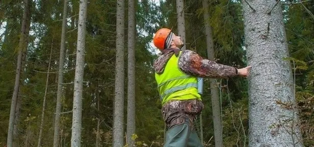 Tarım ve Orman Bakanlığı personel alımı 2022 başvuruları ne zaman, nasıl yapılır? 5 bin 64 personel alımı başvuru şartları!-5