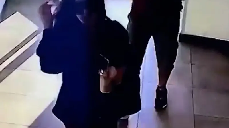 Eyüpsultan'da valizde cesedi bulunmuştu: Canice katledilen Ayşe Tokyaz'ın katilinin ifadesi ortaya çıktı (takvim foto arşiv)