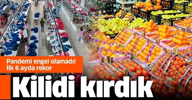 Meyve-sebze ihracatı ilk 6 ayda rekor kırdı