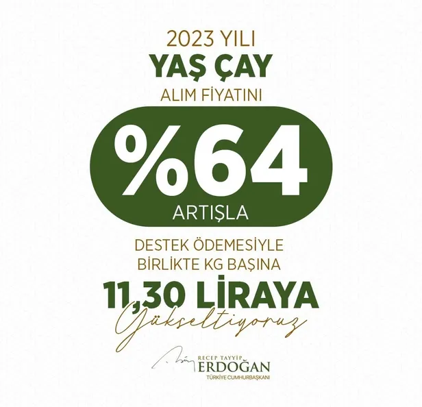 cay-fiyatlari-ne-kadar-2023-yas-cay-kilo-fiyati-ne-kadar-oldu-kac-tl-baskan-erdogan-acikladi-1683122654886.jpg ÇAY FİYATLARI NE KADAR 2023? Yaş çay kilo fiyatı ne kadar oldu, kaç TL? Başkan Erdoğan açıkladı!-5