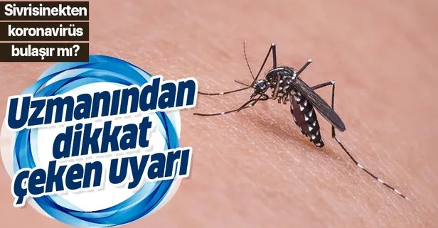 Sivrisinek korona bulaştırır mı?