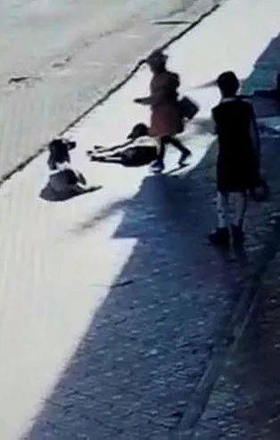 Hatay'da korkunç olay! Sokak köpeklerini severken...