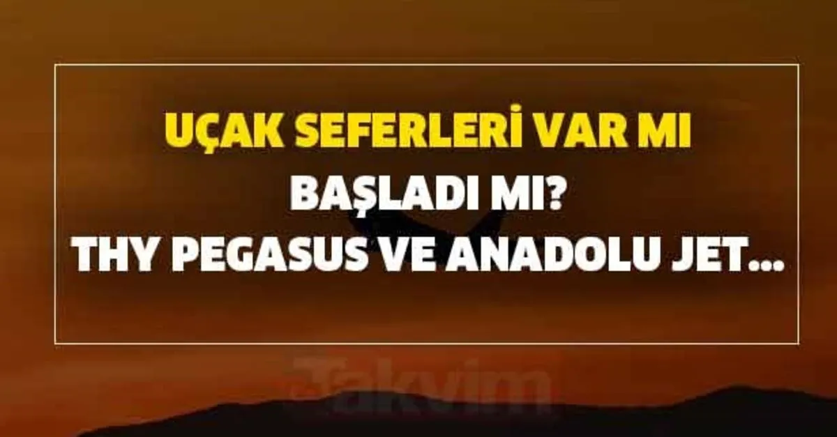 thy pegasus ve anadolu jet sehirler arasi ucus yapacak mi ucak seferleri var mi basladi mi takvim