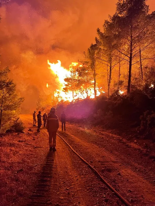 son-dakika-mersinde-orman-yangini-mudahale-2-gunde-suruyor-mersin-antalya-d-400-kara-yolu-ulasima-kapatildi-1662614110129.jpg SON DAKİKA: Mersin'de orman yangını! Sevindiren haber geldi: Yangın kontrol altına alındı-11