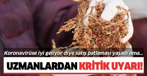 Koronavirüse iyi geldiği iddiasıyla satış patlaması yaşayan sumak hakkında uzmanlardan kritik uyarı!