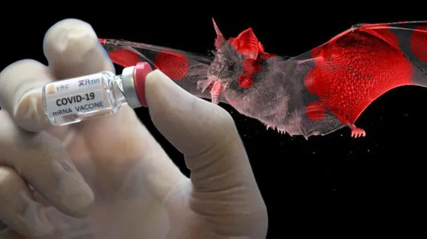 Koronavirüste yeni belirtiler... Büyük uyarı geldi! Koronavirüs ilacı-aşısı hakkında flaş gelişme ortaya çıktı!-4