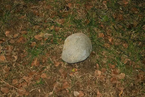 SON DAKİKA: Adana'da maske takmayan 2 kişi kimlik soran polislere taşla saldırdı-2