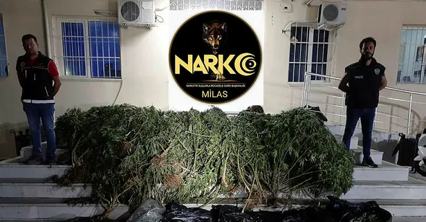 Muğla’da turizmci çifte uyuşturucu operasyonu! Kilolarca ele geçirildi
