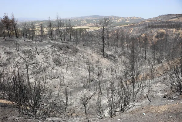 yangini-sondurmeye-calisirken-traktoruyle-birlikte-alevlerin-icinde-kalan-ciftci-kolumdaki-deri-naylon-gibi-acildi-yine-olsa-hic-dusunmeden-giderim-1627997333123.jpg Yangını söndürmeye çalışırken traktörüyle birlikte alevlerin içinde kalan çiftçi: Kolumdaki deri naylon gibi açıldı! Yine olsa hiç düşünmeden giderim-9