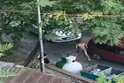 Beyoğlu'nda bir garip olay! Çıplak halde motosikletin önüne atladı: Sopayla dayak yedi