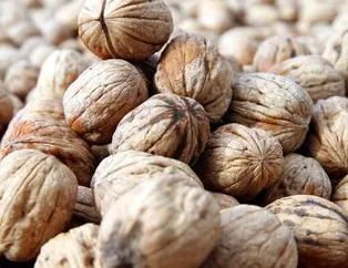 Cevizle göbeği eritin