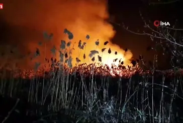 İznik’te sazlık alanda korkutan yangın