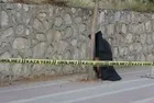 İş adamı Mehmet Köse iple ağaca asılı halde ölü bulundu