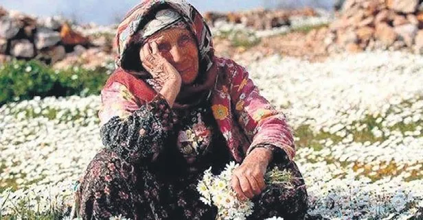 Türkiye’nin en yaşlı ili Sinop oldu