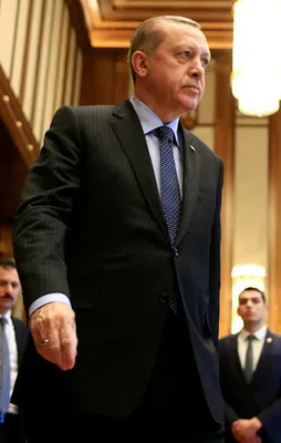 Erdoğan'dan Almanya'ya kritik ziyaret