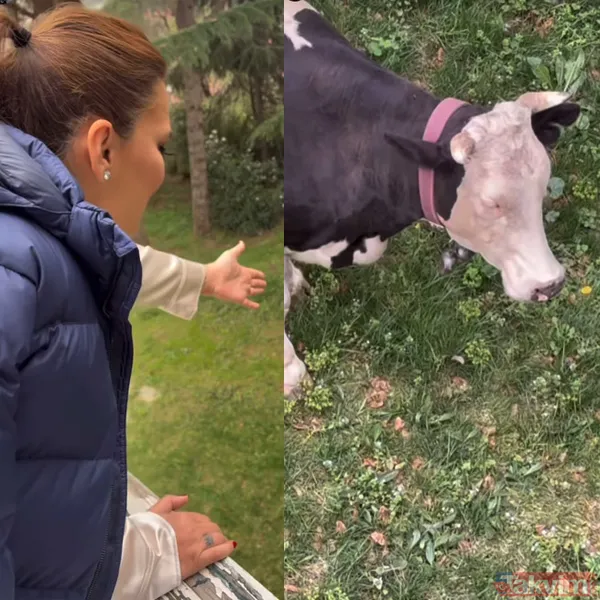 Demet Akalın’dan ineklere konser! O görüntüler viral oldu: Ağlayacak az sonra! - 7