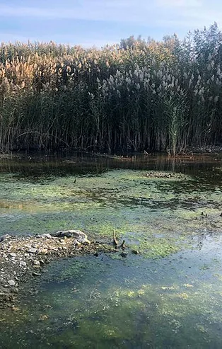İki ilin suyu tehlikede! Uzmanlardan 'dip suyu' alarmı