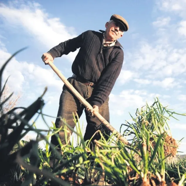 Tarıma 349 milyon TL destek