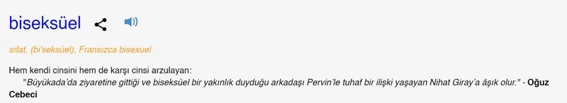 biseksuel-ne-demek-biseksuel-kelimesi-tdk-sozluk-anlami-nedir-1713825420187.jpg