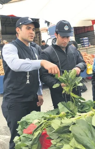 'Ispanak' çöp oldu