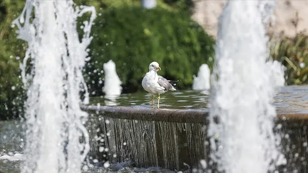 HAVA DURUMU | Eyyam-ı Bahur İstanbul'u kavuracak: Termometreler 40 dereceyi görecek | 3 Ağustos 2023 hava durumu-13
