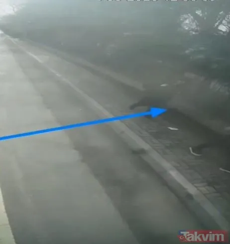 Ece Gürel Nasıl Hayatta Kaldı? Mahalle Afet Gönülleri-Acil Müdahale Derneği'nin Lideri Yusuf Ahmet Kulca, Ece Gürel'in 4 Gün Boyunca Nasıl Hayatta Kaldığını...