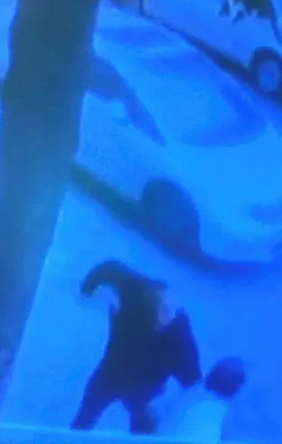 İstanbul Bayrampaşa'da sokak ortasında cinayet! Alacak verecek kavgası can aldı