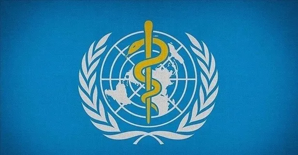 Dünya Sağlık Örgütü duyurdu! 90 binin üzerinde maymun çiçeği virüsü vakası görüldü, 156 kişi hayatını kaybetti