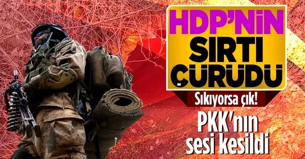 Bölücü terör örgütü PKK’nın sesi kesildi! İnlerinden kafalarını çıkaramıyorlar