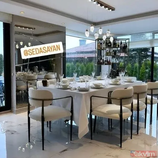 Kadırgalı Seda Sayan’ın serveti dudak uçuklattı! İşte mal varlığı: İstanbul'da 30 daire, Bodrum'da 3 villa... - 12