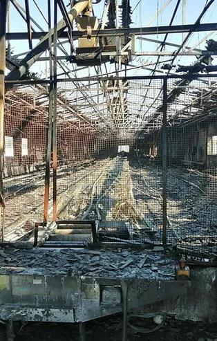 Bursa'da çiftlikte yangın: 4 bin tavuk öldü