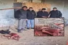 Ramazan ayı öncesi piyasaya süreceklerdi! İzmir'de kaçak at kesimine suçüstü