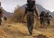 PKKda çözülmeler devam ediyor! Vanda 2 terörist güvenlik güçlerine teslim oldu