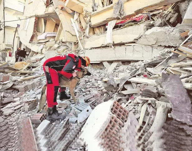 arama-kurtarma-kopegi-altar-izmirde-bir-kez-daha-kahramanlasti-1604355564152.jpeg Arama-Kurtarma köpeği Altar İzmir’de bir kez daha kahramanlaştı-1