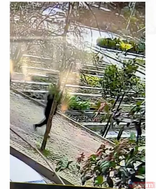 Ece Gürel Nerede Bulundu? Ece Gürel'e Ulaşan Arama Kurtarma Ekipleri, Büyük Bir Heyecan Yaşadı. Sağlık Ekipleri Hızla Bölgeye Ulaşırken, Genç Mimarın Şokta...