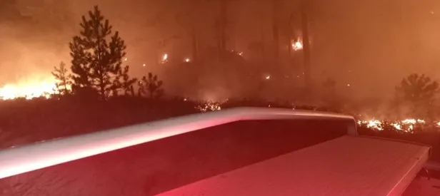 Muğla’da orman yangı çıktı